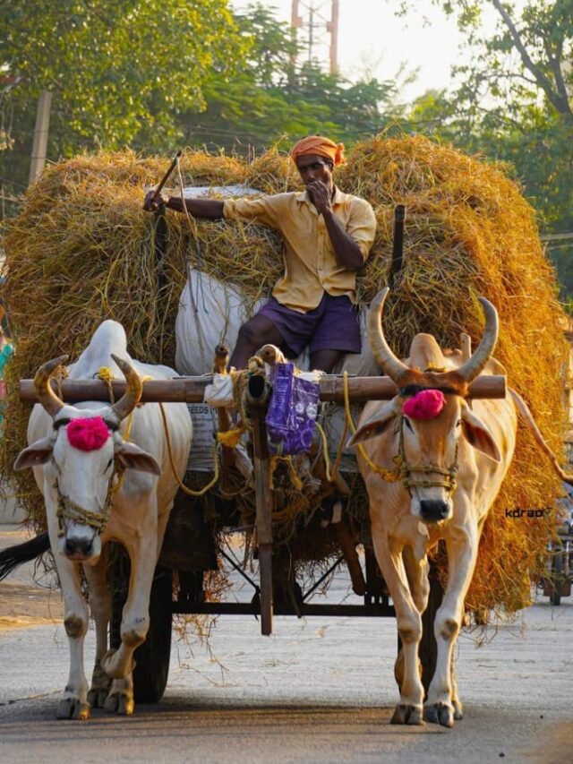 बिजनेस करने के लिए किसानों को सरकार दे रही 15 लाख रुपए